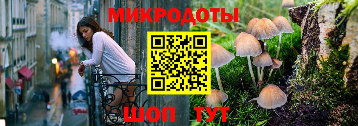 Псилоцибиновые грибы Cubensis  Вход с VPN  Галлюциногенные грибы GOLDEN TEACHER  Гусиноозёрск 